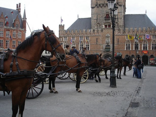 /Coches de caballos en Brujas